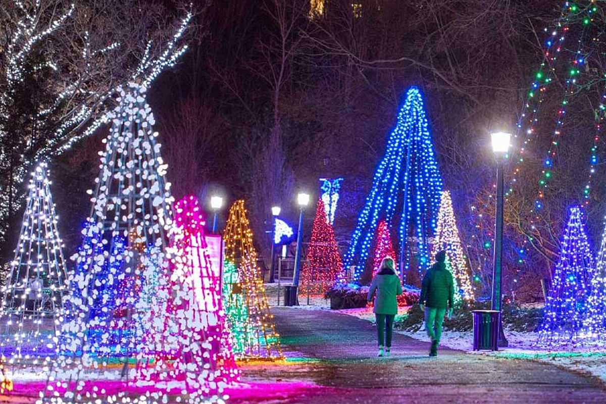 Winter Festival of Lights